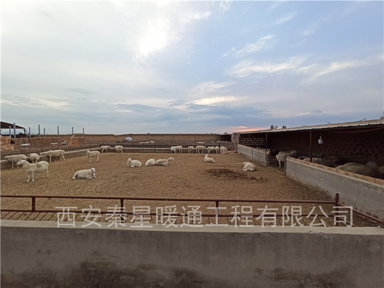 畜牧業電地暖