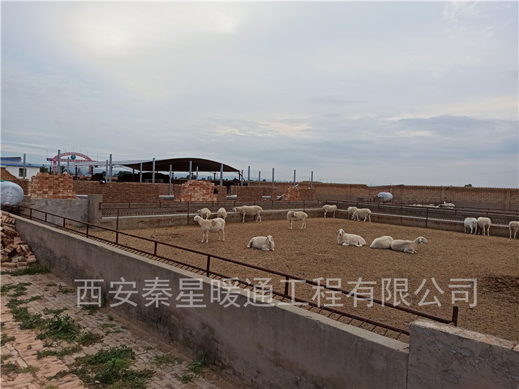 畜牧業電地暖